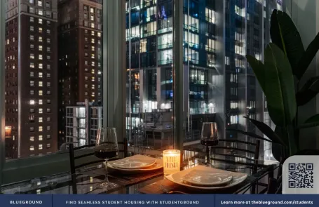 2 Bedroom South Loop Apartment