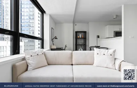 1 Bedroom Streeterville Apartment