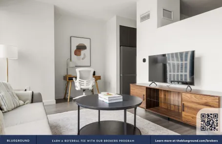 1 Bedroom South Loop Apartment