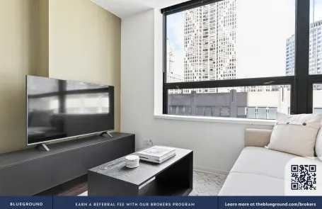 1 Bedroom Streeterville Apartment