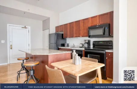 1 Bedroom Chicago Loop Apartment