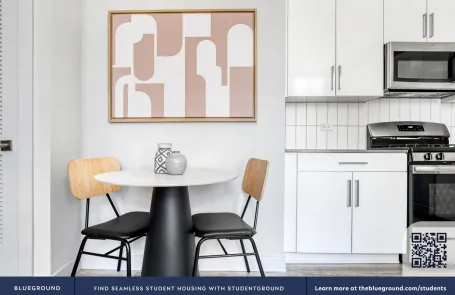 1 Bedroom Chicago Loop Apartment