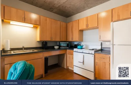 2 Bedroom South Loop Apartment