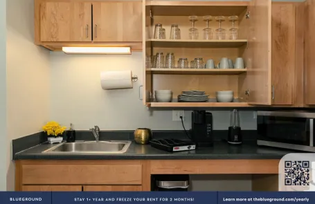2 Bedroom South Loop Apartment