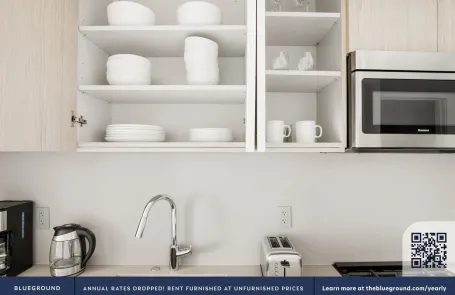 1 Bedroom South Loop Apartment