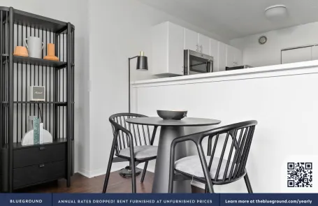 1 Bedroom Streeterville Apartment