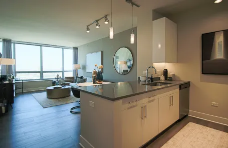 1 Bedroom South Loop Apartment