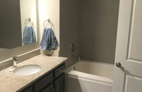 1 Bedroom South Loop Apartment