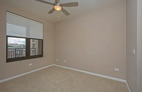 1 Bedroom South Loop Apartment