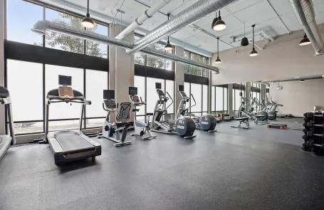 1 Bedroom South Loop Apartment