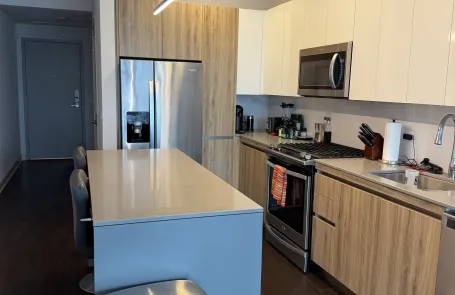 1 Bedroom River North Apartment