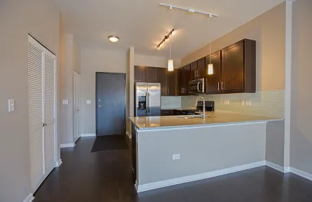 1 Bedroom South Loop Apartment