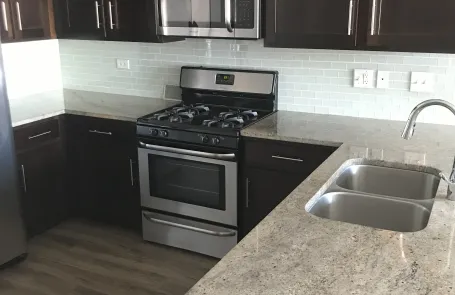 1 Bedroom South Loop Apartment