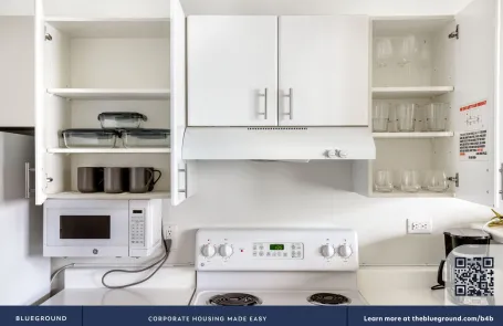 1 Bedroom Streeterville Apartment