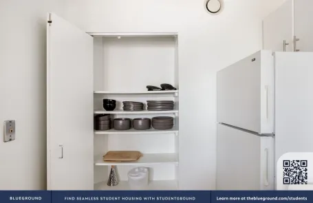 1 Bedroom Streeterville Apartment