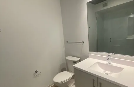 1 Bedroom South Loop Apartment