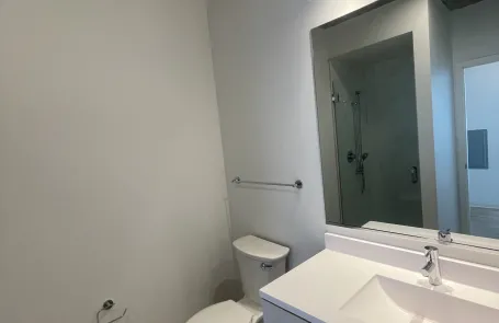 1 Bedroom South Loop Apartment