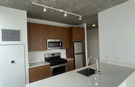 1 Bedroom South Loop Apartment