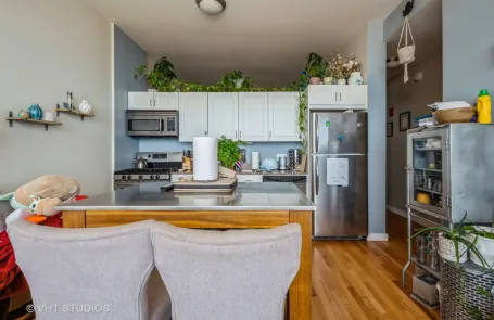 2 Bedroom South Loop Apartment