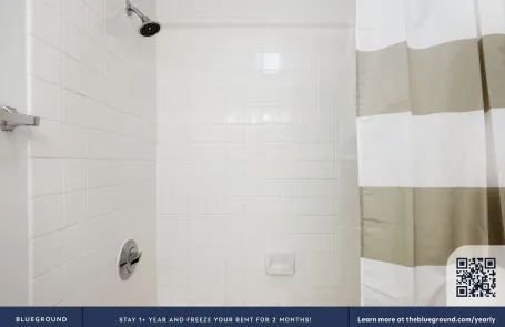 1 Bedroom Streeterville Apartment