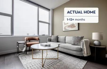 1 Bedroom South Loop Apartment