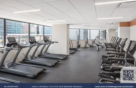 1 Bedroom Streeterville Apartment