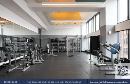 1 Bedroom West Loop Apartment