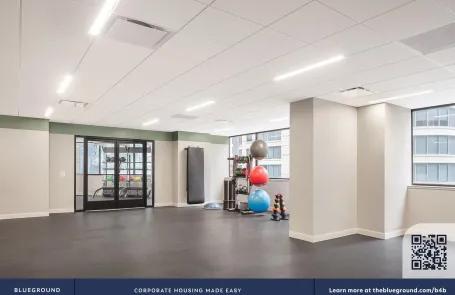 1 Bedroom Streeterville Apartment