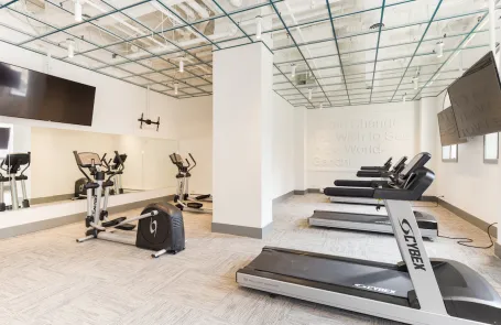 Studio Gold Coast Apartment