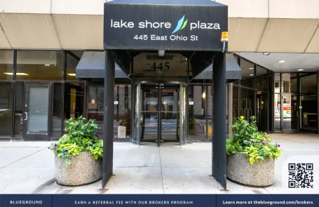 1 Bedroom Streeterville Apartment