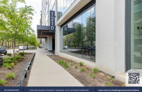 1 Bedroom South Loop Apartment