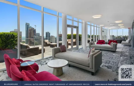 1 Bedroom South Loop Apartment