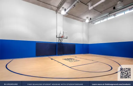 1 Bedroom South Loop Apartment