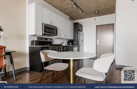 1 Bedroom West Loop Apartment