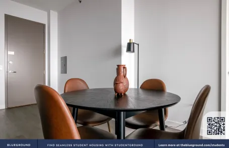 1 Bedroom South Loop Apartment