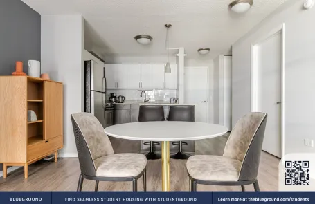 1 Bedroom West Loop Apartment