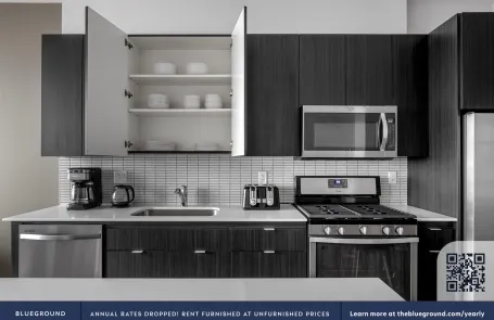 1 Bedroom South Loop Apartment