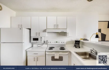 1 Bedroom Streeterville Apartment