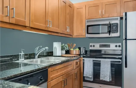 Studio Lakeshore East Apartment