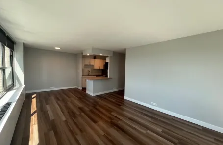 1 Bedroom South Loop Apartment