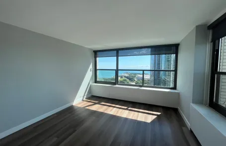 1 Bedroom South Loop Apartment