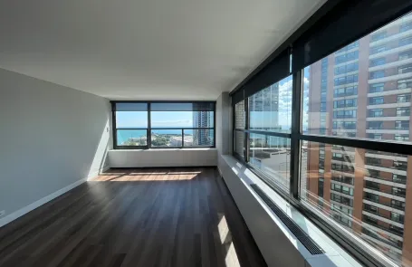 1 Bedroom South Loop Apartment