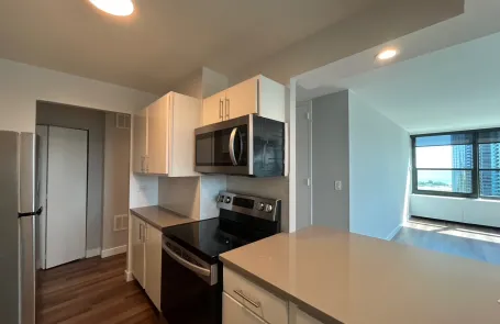 1 Bedroom South Loop Apartment