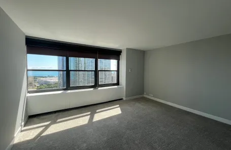 1 Bedroom South Loop Apartment