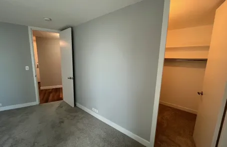 1 Bedroom South Loop Apartment