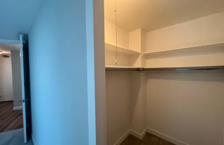 1 Bedroom South Loop Apartment