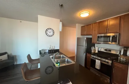 1 Bedroom Fulton Market Apartment