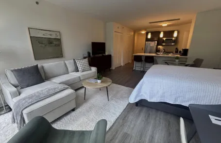 Studio Streeterville Corporate Housing