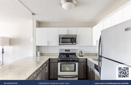 2 Bedroom West Loop Apartment