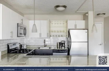 2 Bedroom West Loop Apartment